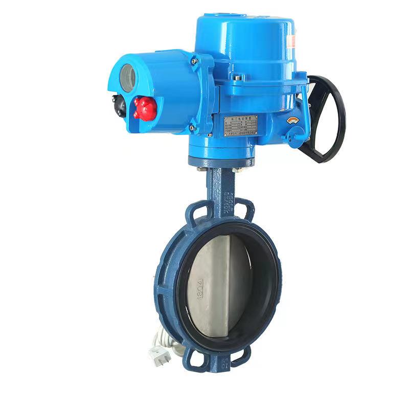 Zeziphi izinto eziqhelekileyo zokuvuza kwangaphakathi kwiivalves zebhola?